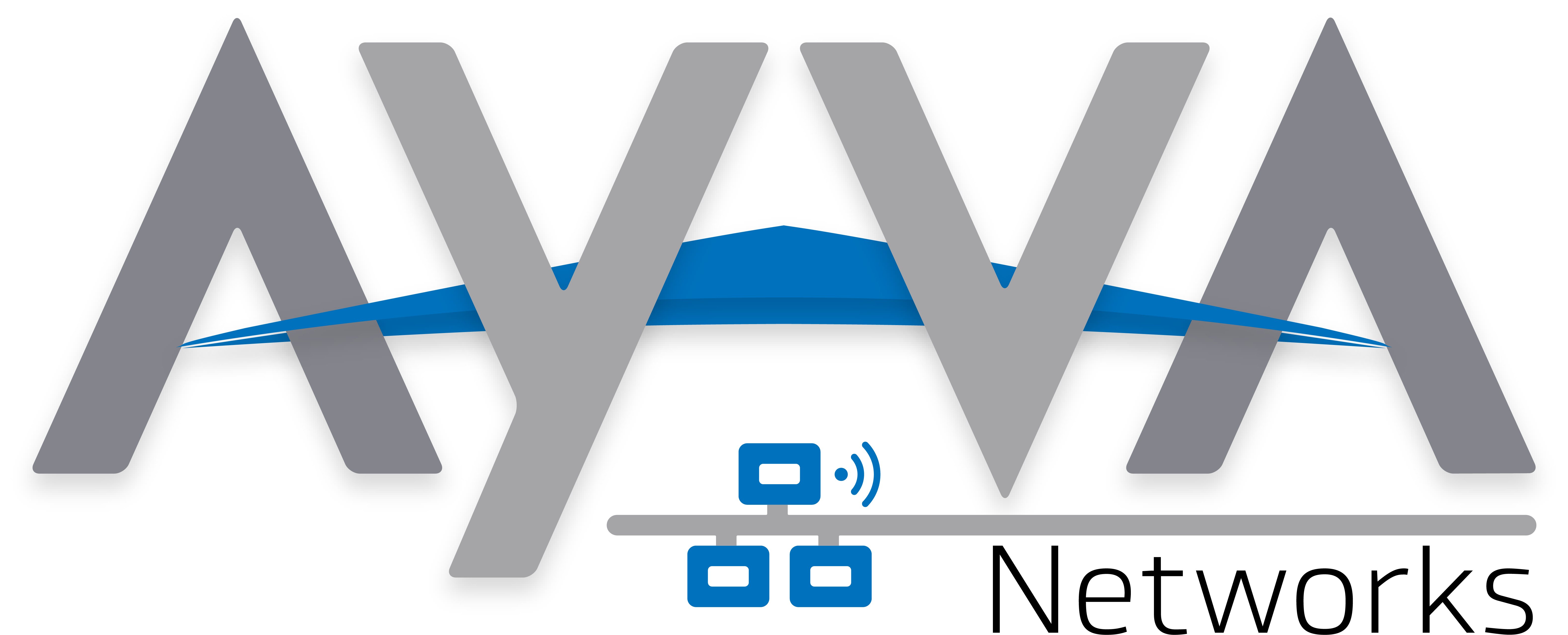 Ayva Networks